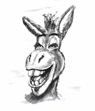 SMILING DONKEY