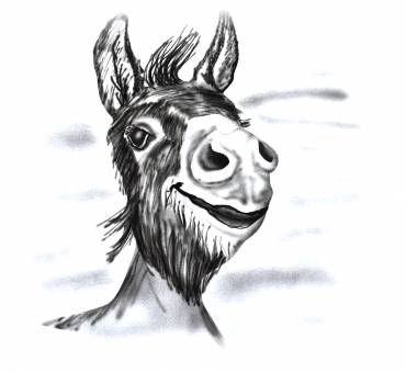 DONKEY 2